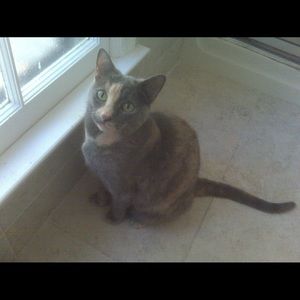 Meet your Posher, Crystal